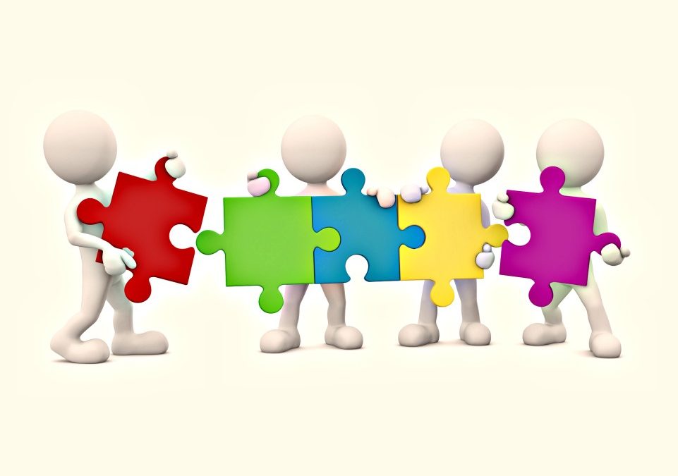 Strategic Framework for Effective Leadership Development: Setting Benchmarks for Success