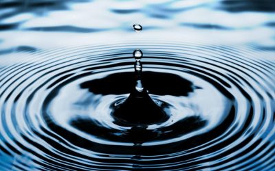 The Ripple Effect of Leadership: A Lesson in Leading by Example