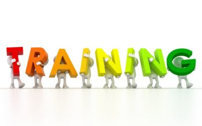 Maximizing Learning Impact: The Benefits of Offering Various Training Mediums