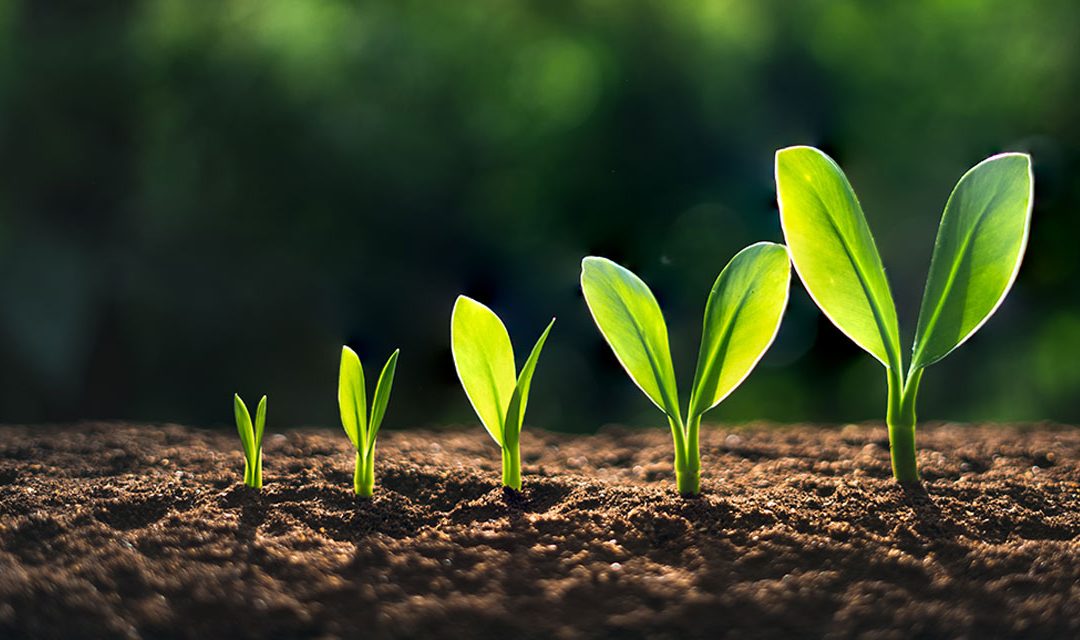 The 5-Minute Leader: A Tale of Continuous Growth