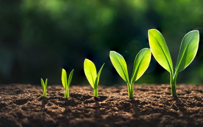 The 5-Minute Leader: A Tale of Continuous Growth